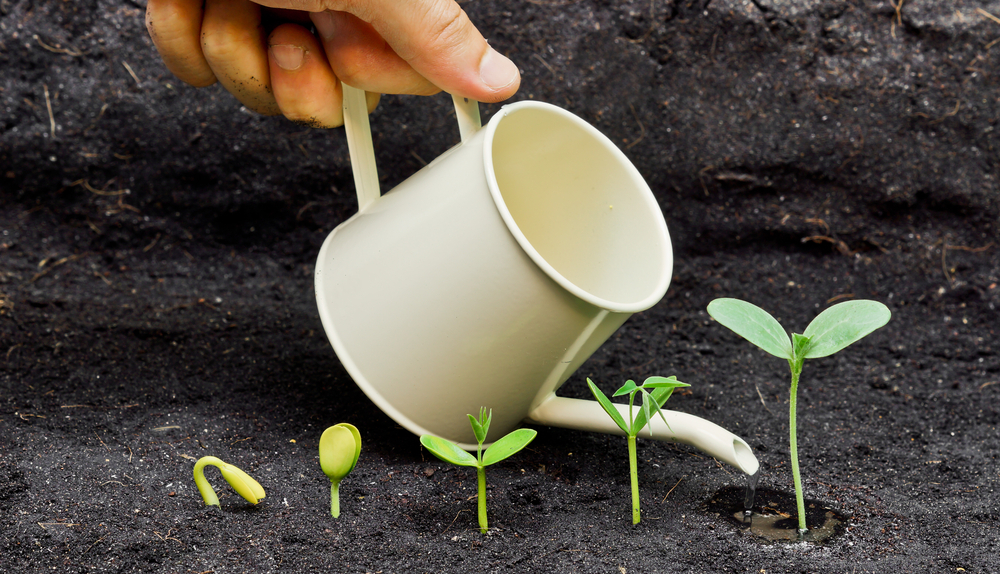 Mes accompagnements Grain 2 Conscience - Symbole la samare…